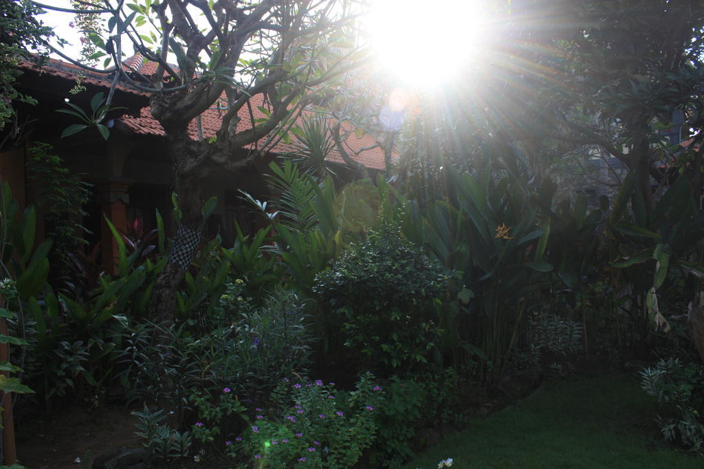 Cleopatra Beach Bungalows Hotel Lovina  Exterior photo