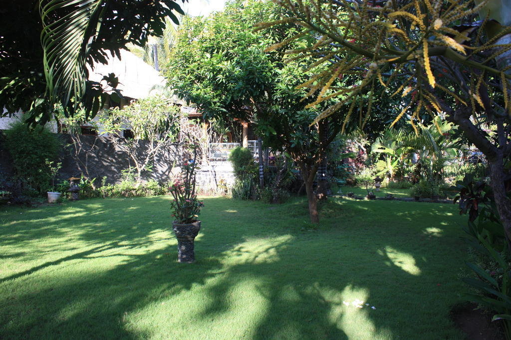 Cleopatra Beach Bungalows Hotel Lovina  Room photo
